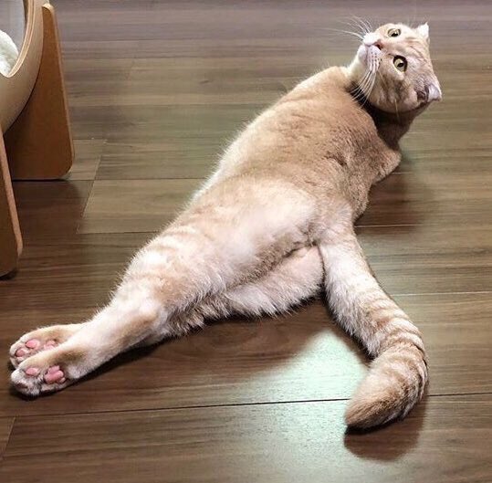 jaehyuncatchx's tweet photo. @johnnyasgardx จะบ้าหรอคะคุณพี่ น้องก็รักนวลสงวนตัวนะ https://t.co/6qnTs6bVfU