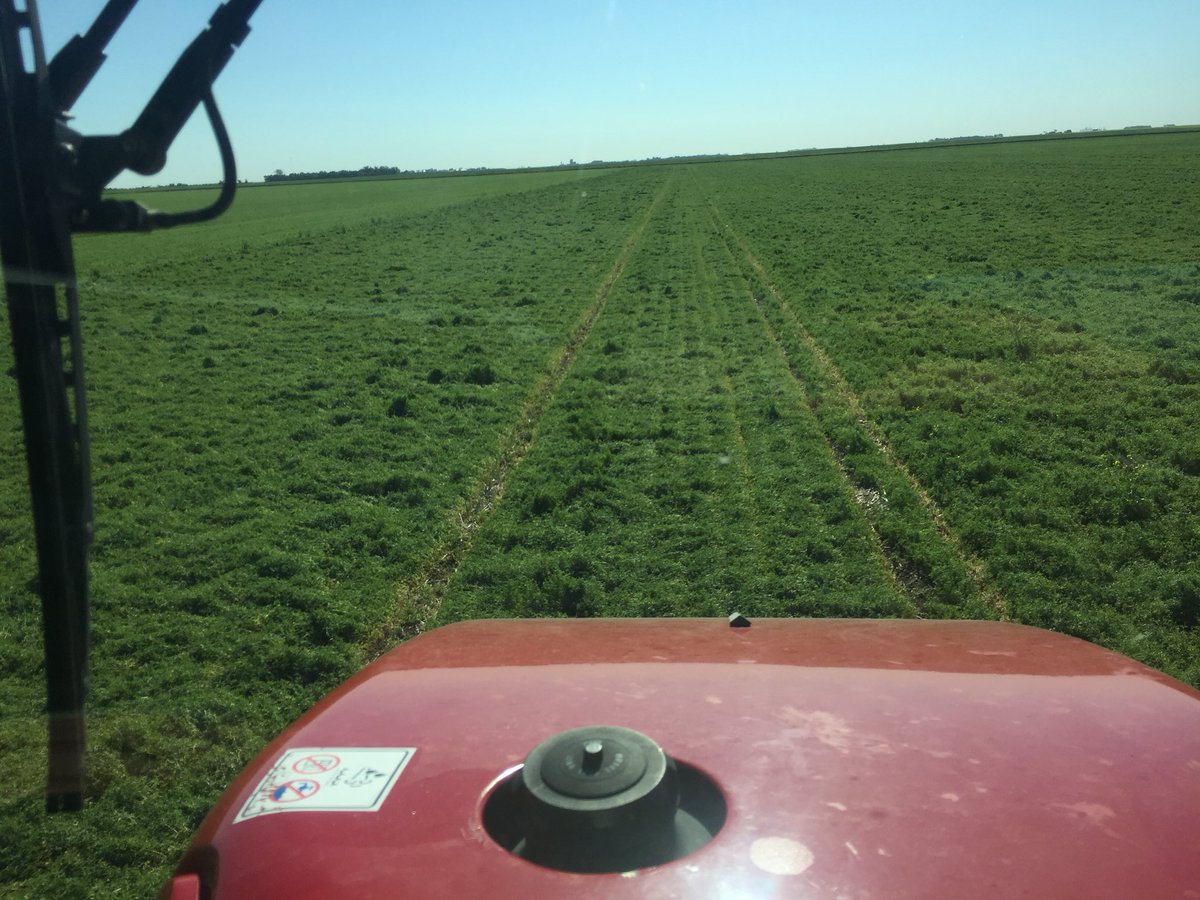 Norm Shoemaker tweet media