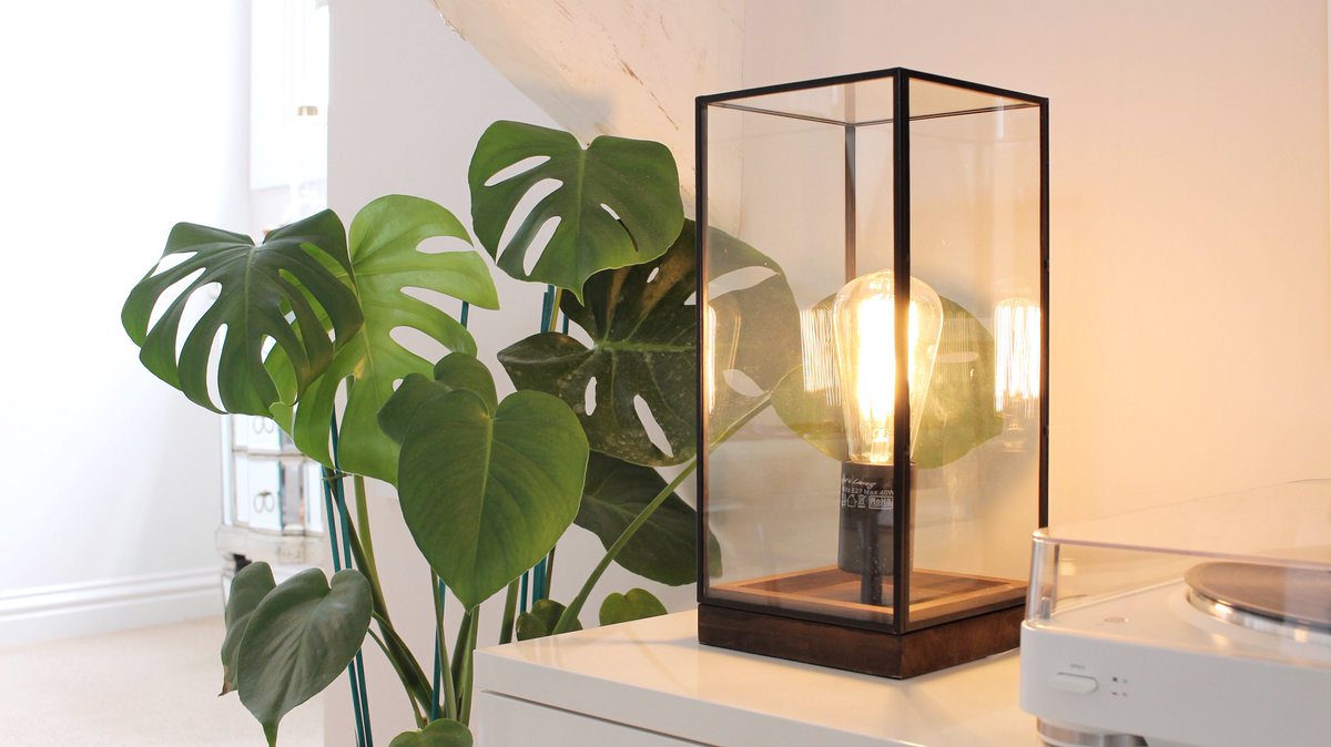 1 New Table Lamp💡 + 
1 House Plant 🌱 = #lightboxstyle .
.
.
#lighting #homedecor #homestyling #myspacemydecor #lightingshop #swisscheeseplant #tablelamps #whiteinterior #interiors123 #interiorstyling #interiorblog #interiordesign #houseplants #plantsofinstagram #minimalist