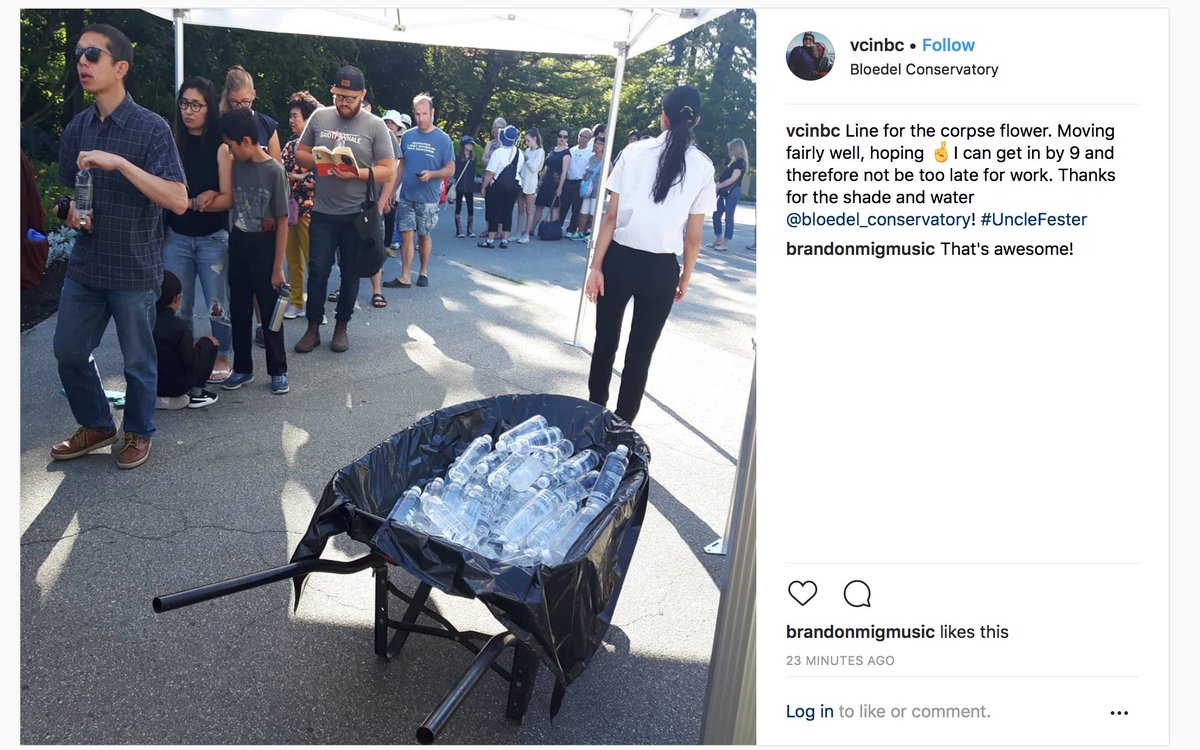 Instagram post by vcinbc Photo of line up of people outside, there is a canopy over some of them and beside the line up is a wheelbarrow filled with plastic water bottles. Text says: Line for the corpse flower. Moving fairly well, hoping 🤞I can get in by 9 and therefore not be too late for work. Thanks for the shade and water. @bloedel_conservatory #UncleFester