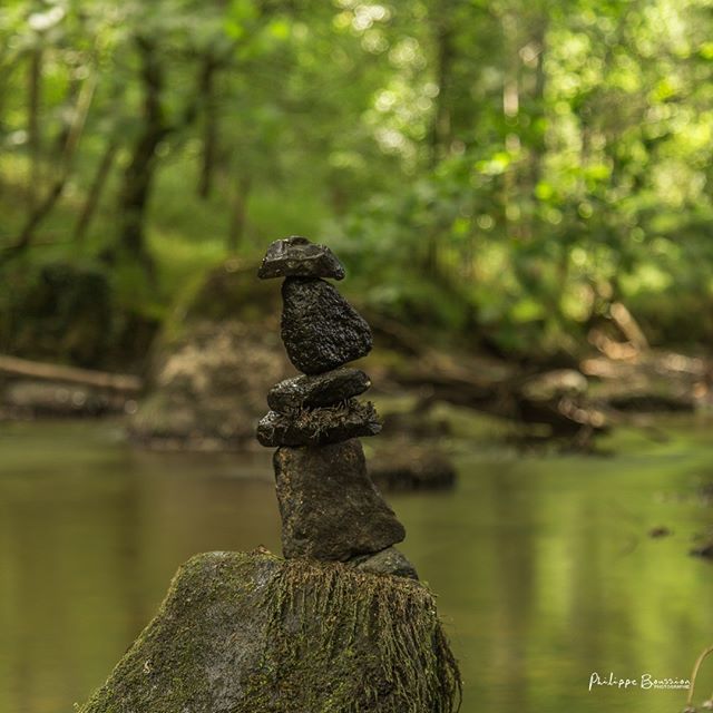 Jett1oeil's tweet photo. L'équilibre... by me... .
#rockbalancing #rockbalancingart #rockbalancingsculpture #deuxsevres #nature #largeasse
.
#igersdeuxsevres #igersfrance #france4dreams #nouvelleaquitaine #so_photo #sudouest_focus_on #picturetokeep_nature #instanaturefrance #tou… https://t.co/ER4NKFmuin https://t.co/jEEfigiqJb