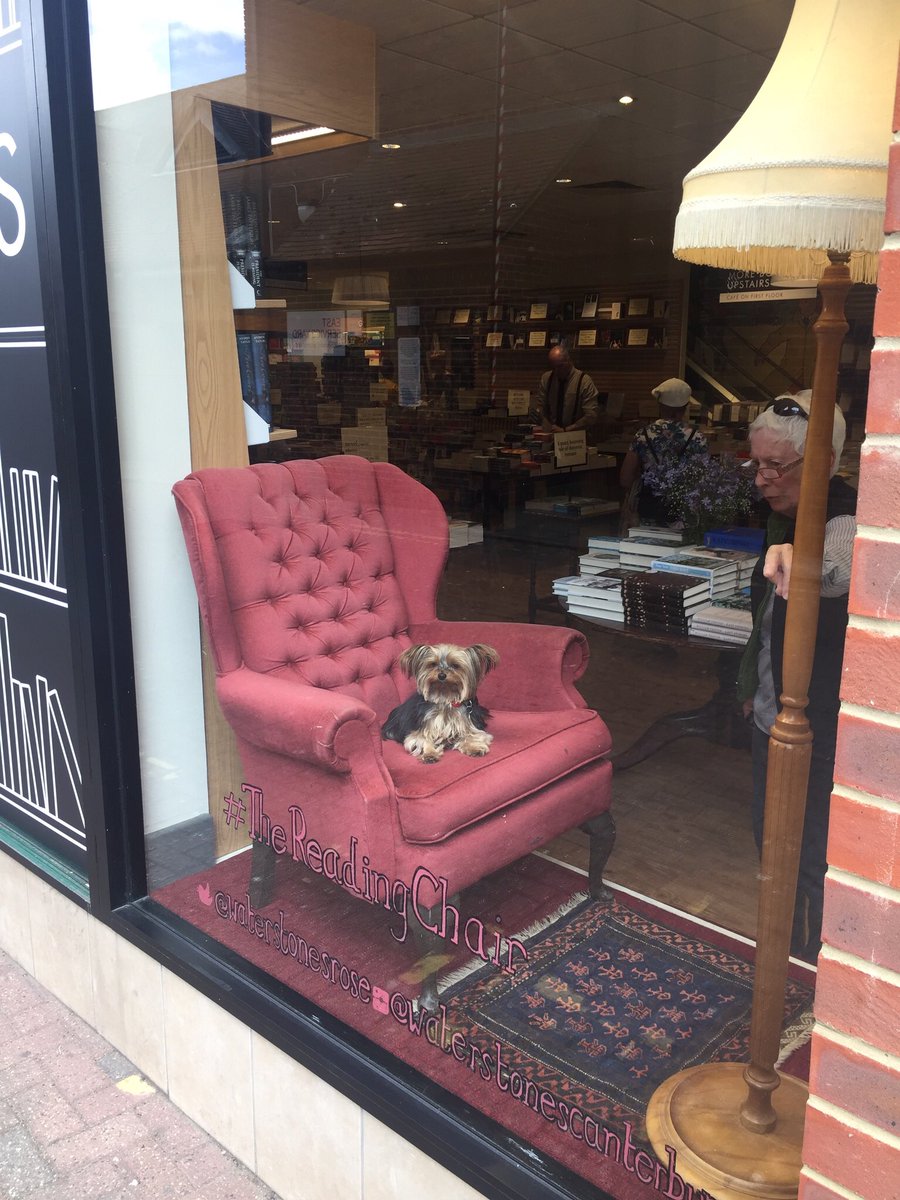 WaterstonesRose's tweet photo. Itโs been quiet in #TheReadingChair of late, so we were very happy to see Lily today. She may be Lily-putian (๐) but she likes big hitters when it comes to fiction. Her favourite author is John Pupdike, particularly Rabbit Run. https://t.co/wZBjB3d7C7