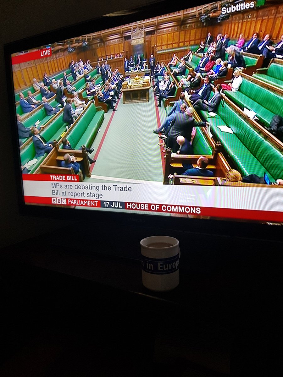 mug of tea in front of bbc parliament on screen (Britain in Europe mug)