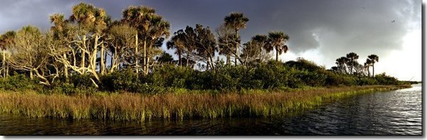NewSmyrnaBeach1's tweet photo. #FLTravelChat FL is perfect for getting out on the water because we have so many different water sources! In #LoveNSB we have 17 miles of beach, the Indian River Lagoon, &amp; the intracoastal waterways: surfing, fishing, boating, yes please! 🏄🎣🚤 https://t.co/RFrToHDQmM https://t.co/TVhLc8sBdt