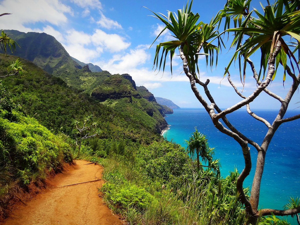 PearlHarborT6's tweet photo. This summer (kauwela), choose the path to #adventure (kūlana).    ☀️🌺

#travel #hawaii #pearlharbor https://t.co/wtyPdyanyC