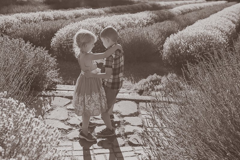 YoungRPhotograp's tweet photo. It’s Lavender Season | Seattle Family Photographer https://t.co/Ye2TXXFTot https://t.co/1pwhb4YWvt