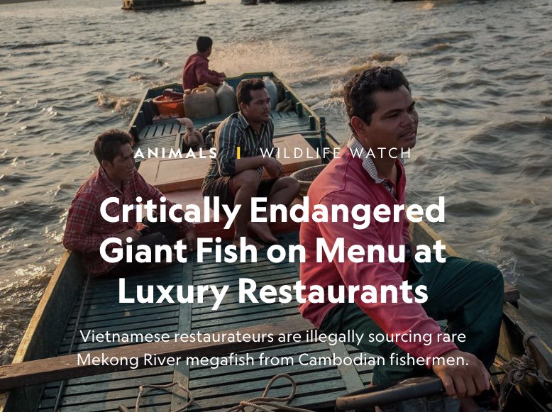 Andrew Revkin 🌎 ✍🏼 🪕 ☮️ tweet media