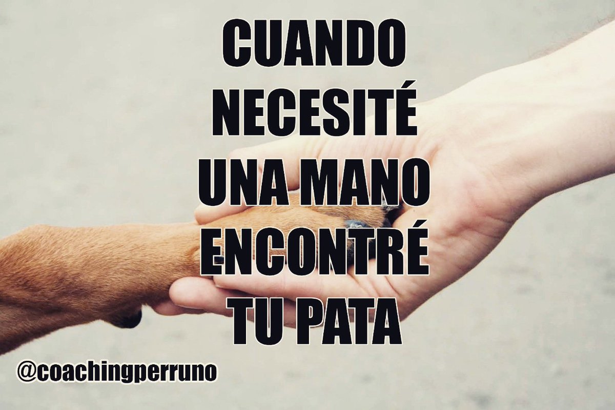 coachingperruno's tweet photo. Siempre a nuestro lado y parte de nuestra manada
#perros #dogslovers #dogs #dogsininstagram #perrosdeinstagram https://t.co/Y6aTeSTzX4