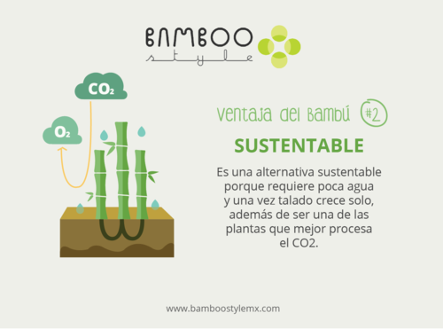 Nuestros productos provienen de palntaciones de bamboo 100% renovables.
#ecofriendly