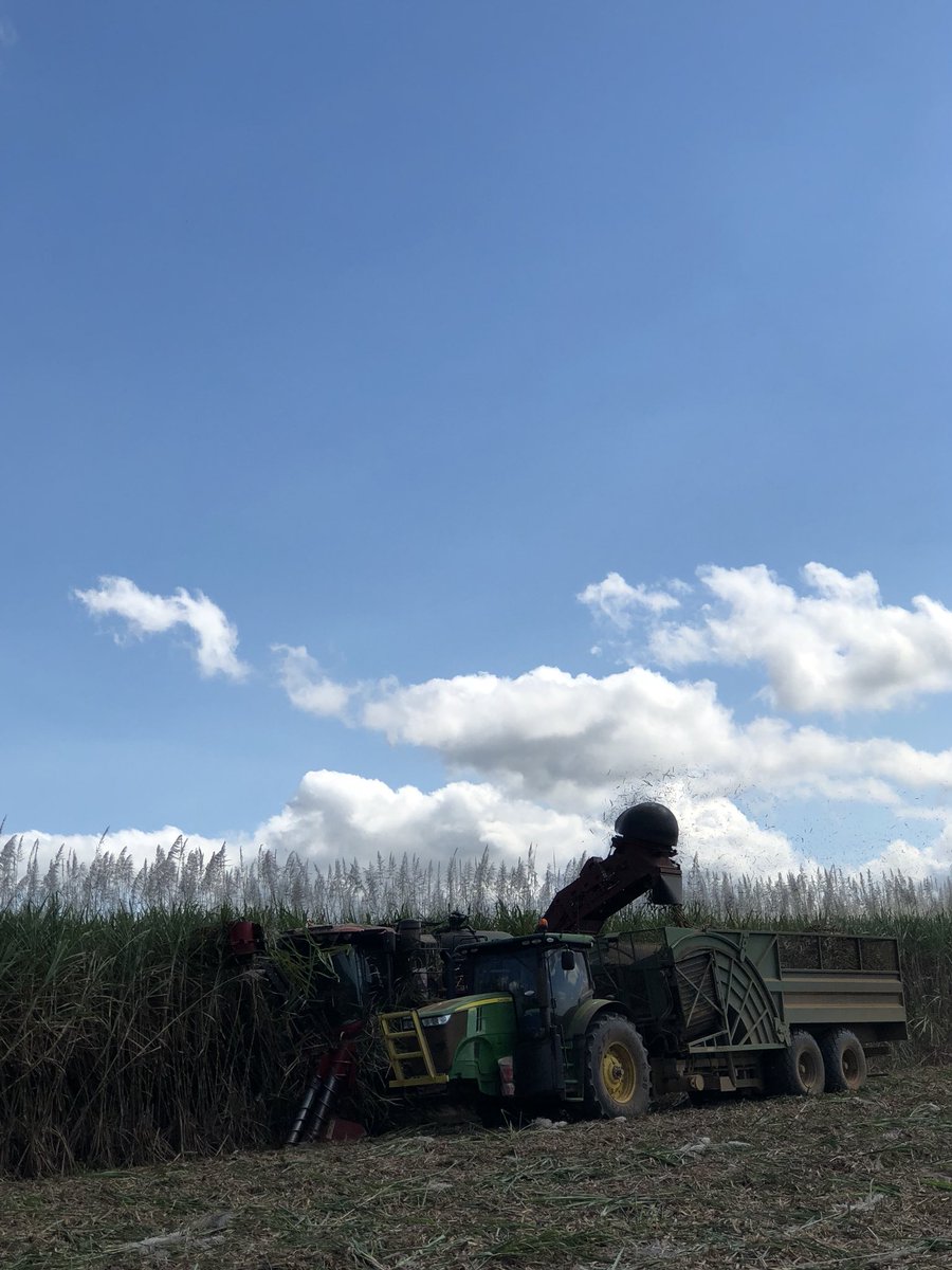 ANZ really do put their grads in the front seat! Courteney Kemp and <a href="/1rossbarker/">Ross Barker</a> were on farm today with myself testing out a new Case harvester recently purchased by one of our respected contracting clients in the Tully area #tully #qld #qsl #cleancane #tullysugarlimited #fnq