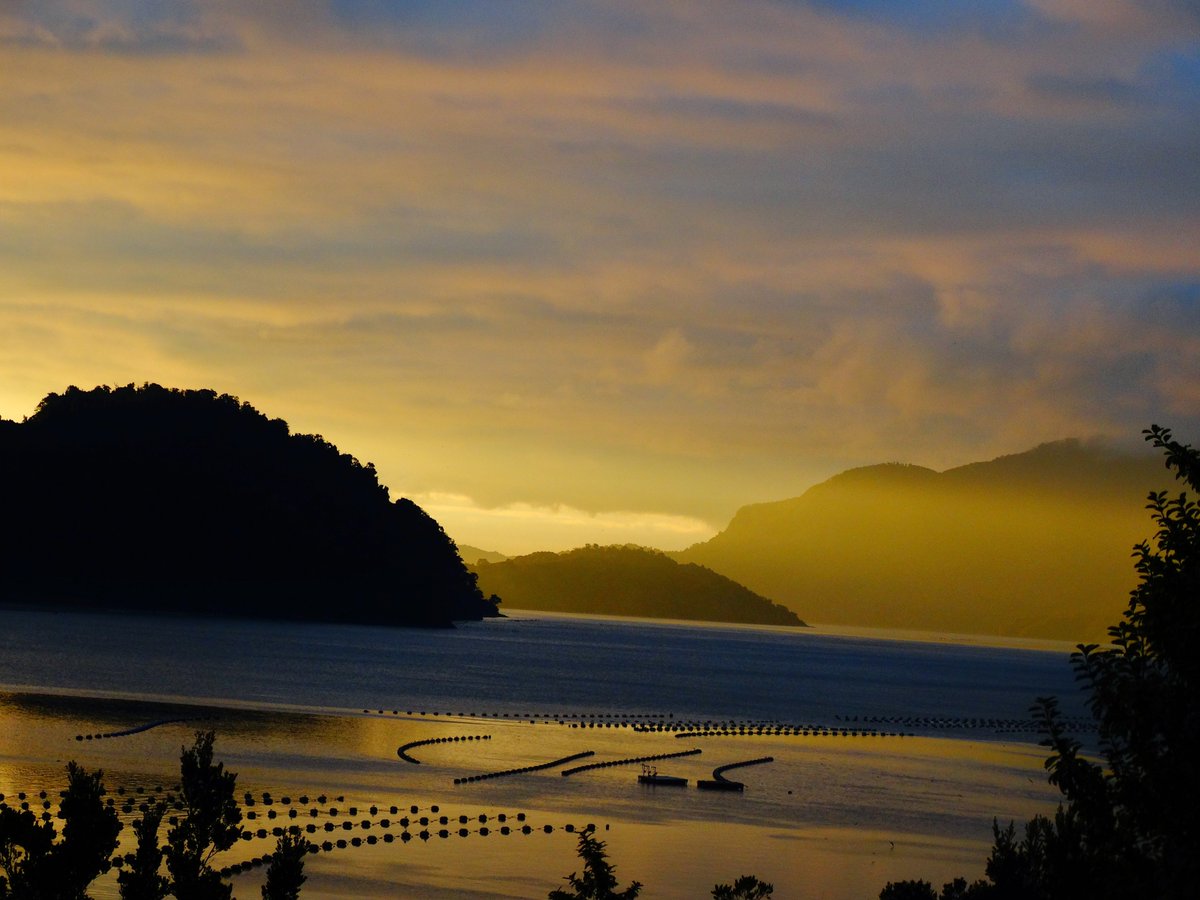 Yaaazdi's tweet photo. Por que uno extraña y añora lugares donde todo fue tan mágico ✨ #cholgo #hornopiren #carreteraaustral @Fotos_DeChile @ChileFoto @Chile_Turismo @Chilephotos @chileestuyo @chilephotograph https://t.co/IG7TZNuWbh