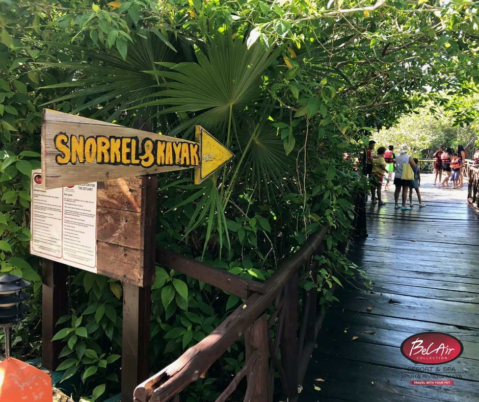 ¡Ven y disfruta de nuestro hermoso estero en uno de nuestros kayak!😃🚣‍♂️

Reserva ahora 👉goo.gl/NgpxBm