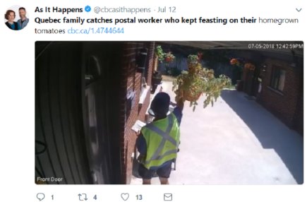 hotnews____'s tweet photo. Family thought squirrel was eating vanishing homegrown tomatoes before camera revealed mailman feasting on them https://t.co/SfWNUGwhEJ https://t.co/vXjHGoP4Bu