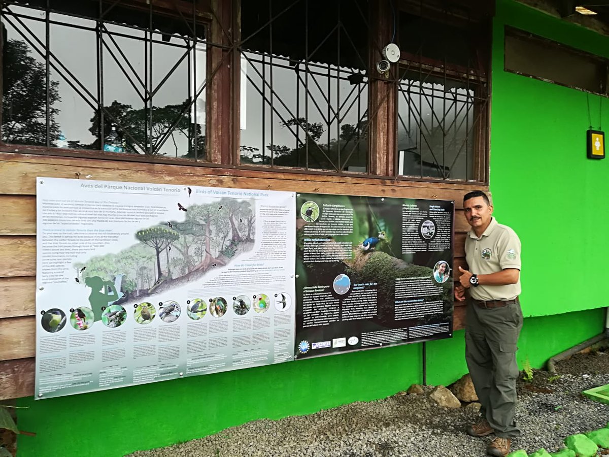 >80 K ppl/yr visit Tenorio Park in #CostaRica. Until today, there was only 1 interpretive sign. Now, at entrance, ppl can read about #manakins, #sexualselection, #diversity, and how to start seeing birds!

@e_shogren @NSF_BIO @derektoplasm #KStateBio @KState_RSCAD #manakinRCN