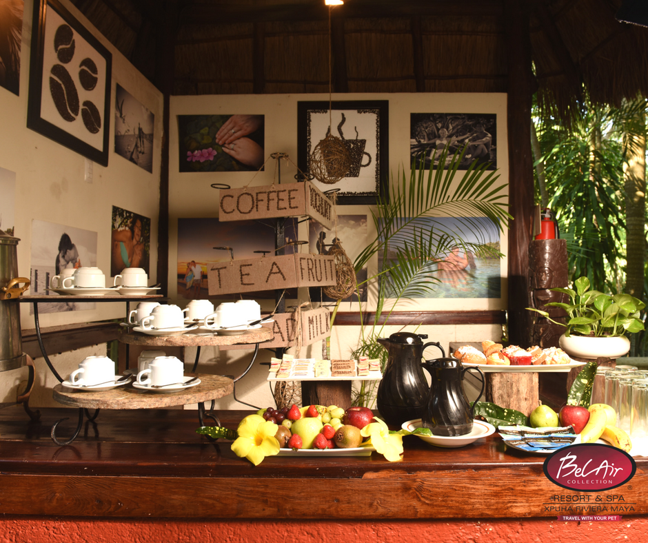 En #domingo también se disfruta un rico cafecito. #BelAirRivieraMaya
Reserva ahora 👉goo.gl/NgpxBm