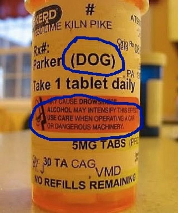 If your dog drinks while he takes this medication, keep an eye on him while he operates heavy machinery! At least until you know its effects on him!
#responsiblepetowner