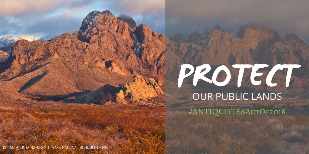 Erin Yoder Logue (ErinYoderLogue) Twitter