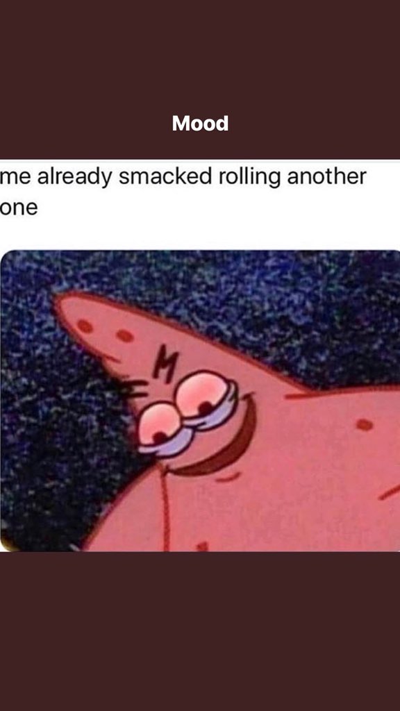 _zanestyles's tweet photo. This is my mood today.... #420 #highmeme #patrick https://t.co/2bOZwnsRm3