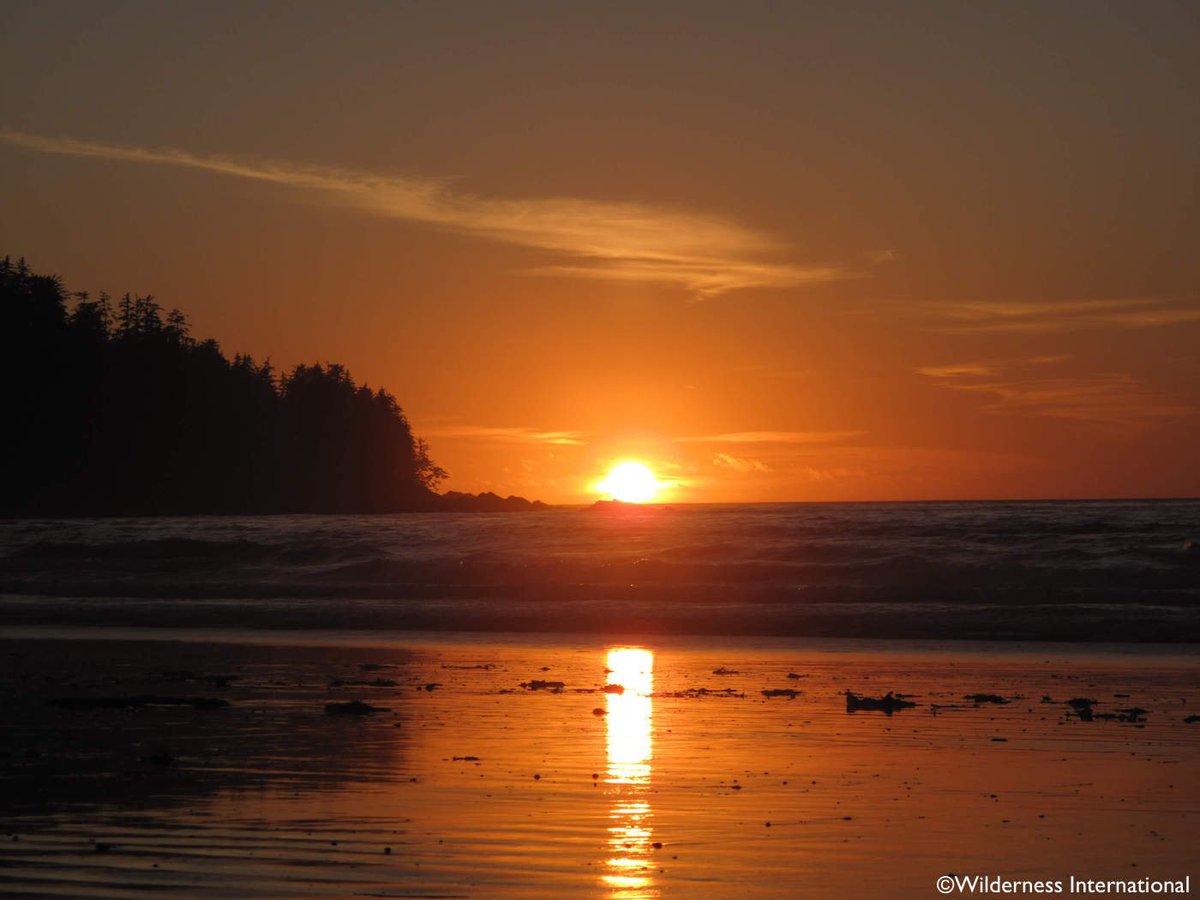 "We are back in #civilization. A strange feeling. Although all of us have grown up in this world, we don’t really feel at #home in it anymore. We all #yearn for the Toba Valley again." Read about day 16 of the #expedition here: wilderness-international.org/en/zurueck-in-…