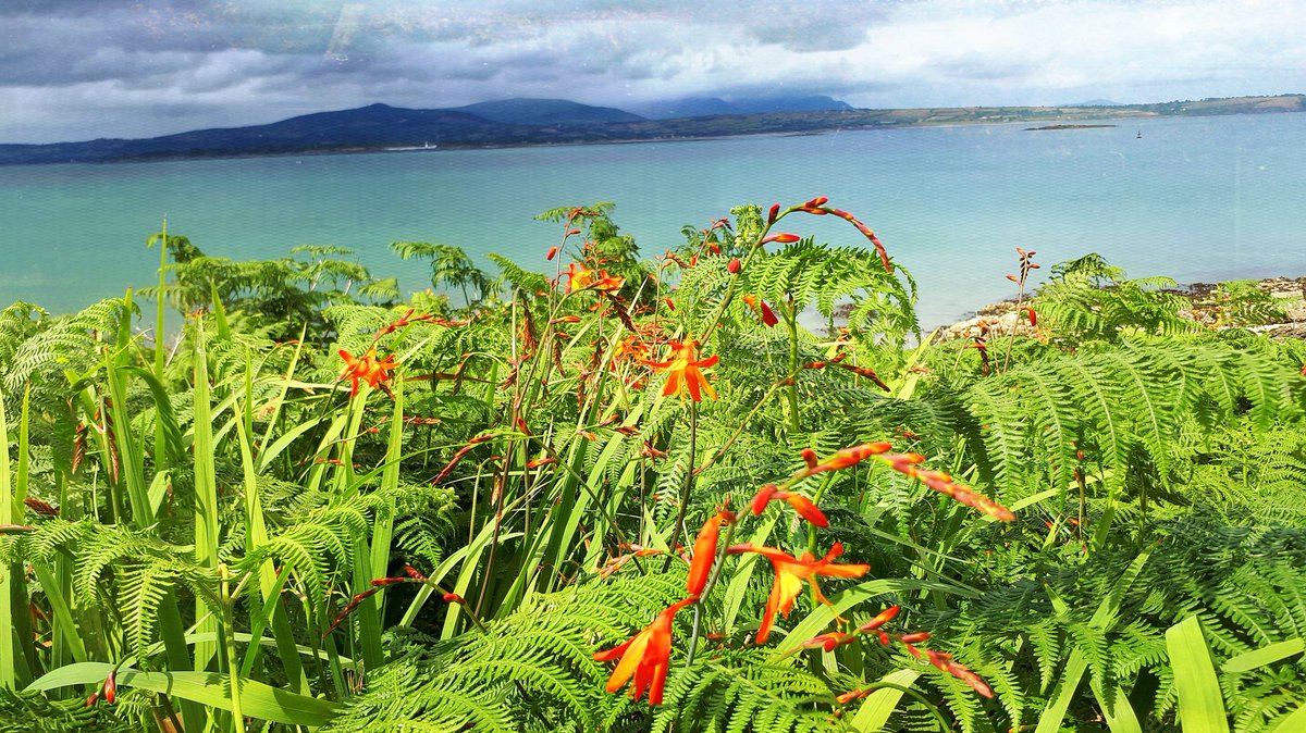 Fabulous views at Helvick head today