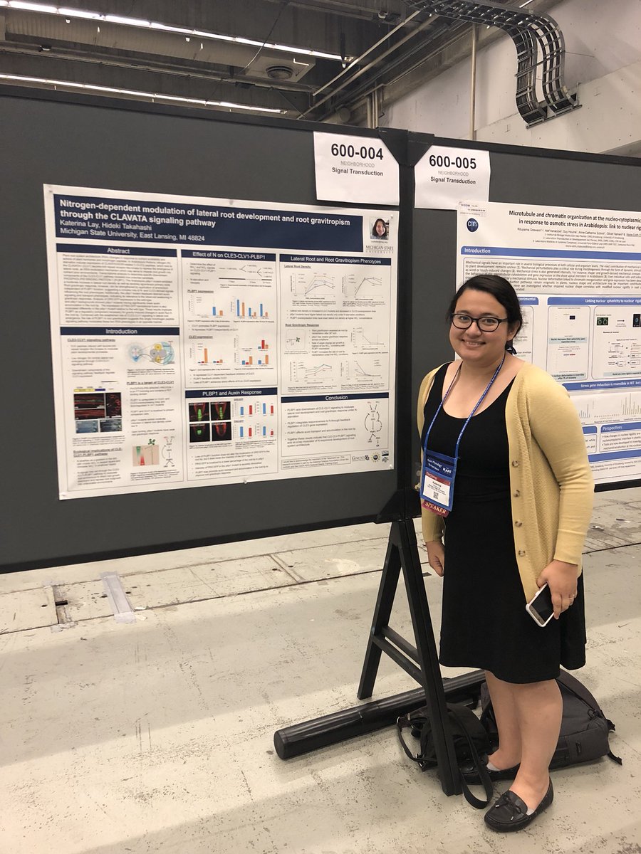 SJaspinder1's tweet photo. The exclusive poster session revealed amazing science.... 
@ASPB @plantae_org #AmpliComm #PlantBio18 https://t.co/hNPiHq7aFh