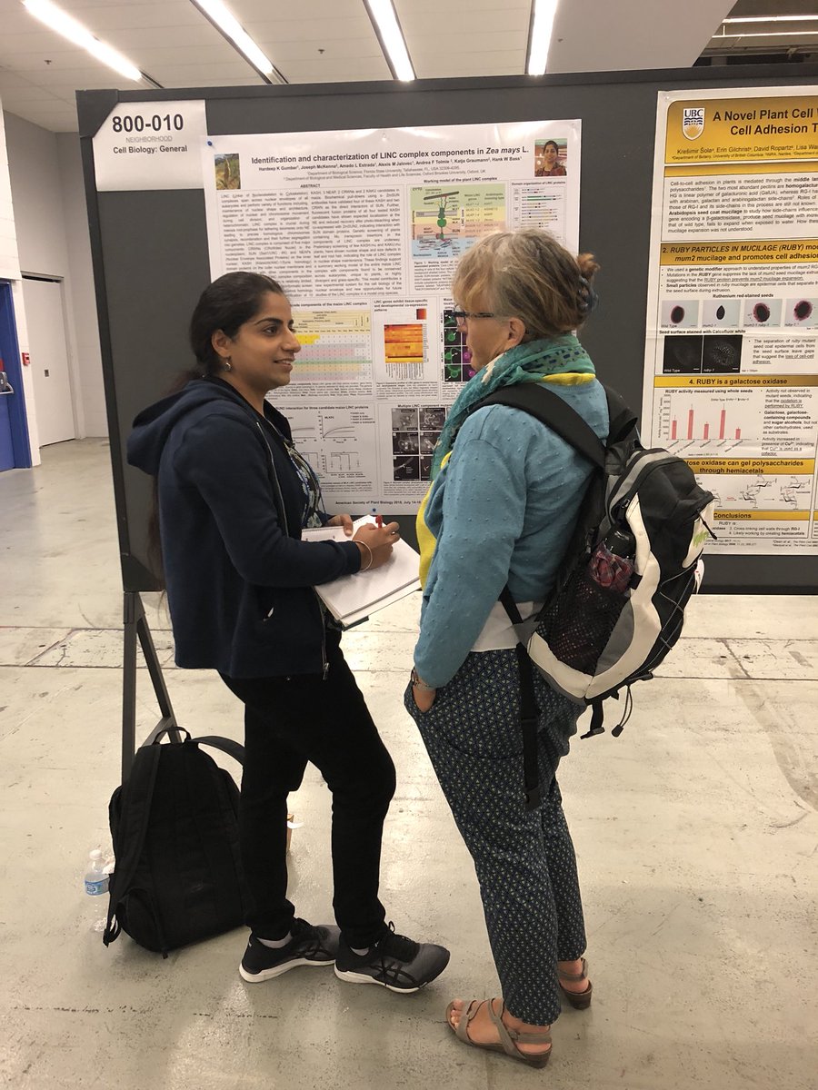 SJaspinder1's tweet photo. The exclusive poster session revealed amazing science.... 
@ASPB @plantae_org #AmpliComm #PlantBio18 https://t.co/hNPiHq7aFh