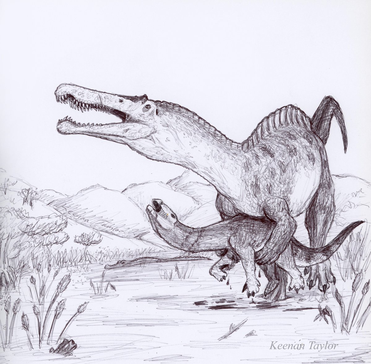 An update on my #Suchomimus and #Lurdusaurus sketch, this time with a scann...