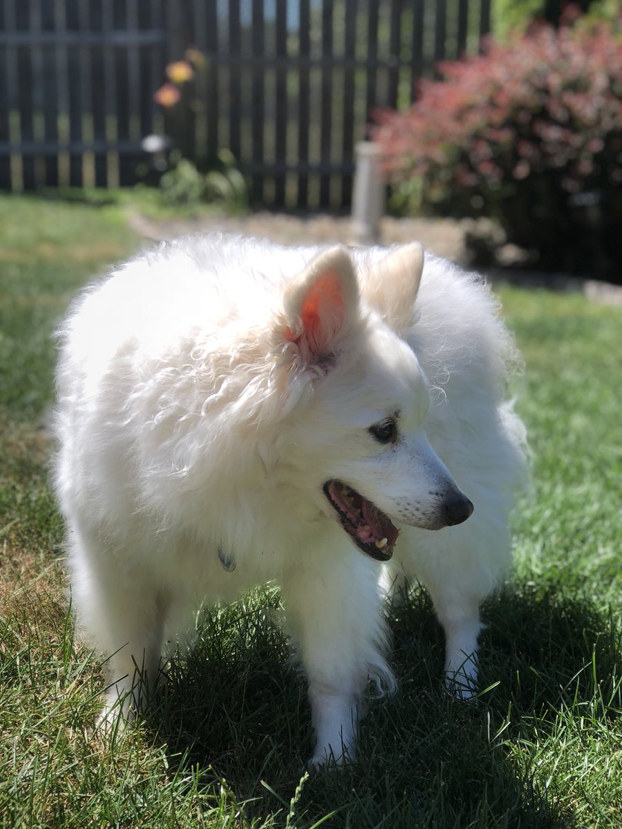 MadisoSpringman's tweet image. We are enjoying the warm weather ☀️