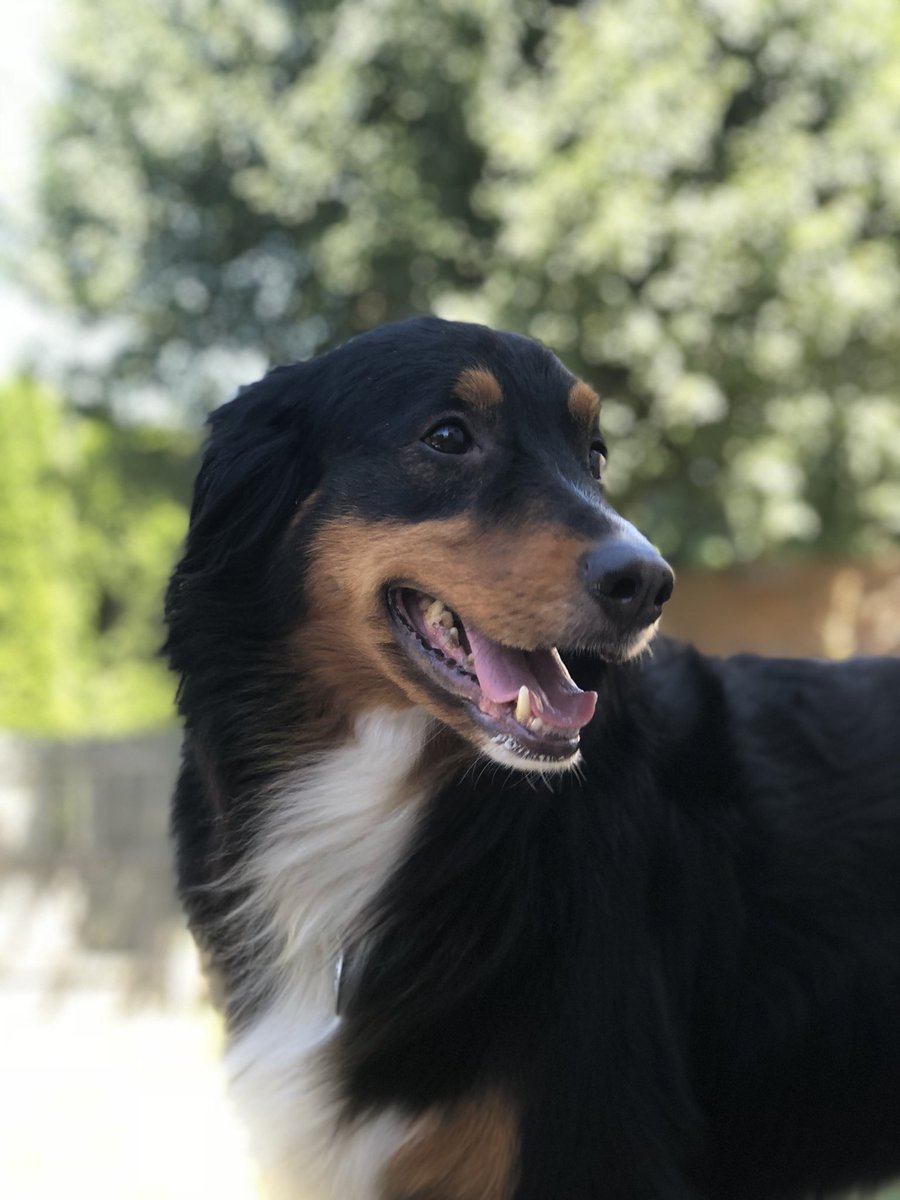 MadisoSpringman's tweet image. We are enjoying the warm weather ☀️