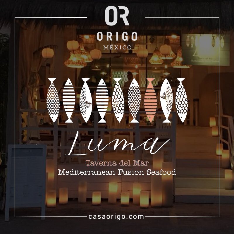 ¡Aqua Chardonnay de @CasaOrigo llegó a Playa del Carmen! Encuéntranos en LUMA Taverna del Mar Mediterranean Fusion Seafood.  #OrigoElVinoMexicano #ElijoVinoMexicano #VinoBlanco #Chardonnay #ValleDeGuadalupe