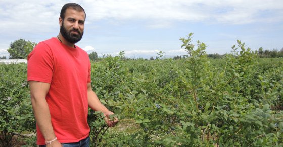 U-pick blueberry season ripens in Richmond dlvr.it/Qbt7Q4 https://t.co/3mB9stMeNy