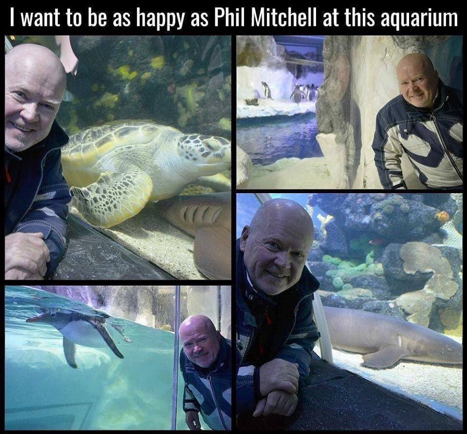 Gemini851323's tweet photo. I need to find this level of happiness in my life https://t.co/TUxrOhTBa8