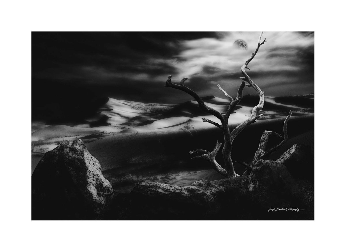 LipartiaPhoto's tweet photo. "St.David Gareji" 

#Desert #desertphotography #tree #bnw #bnwphotography https://t.co/po74WJW5rq