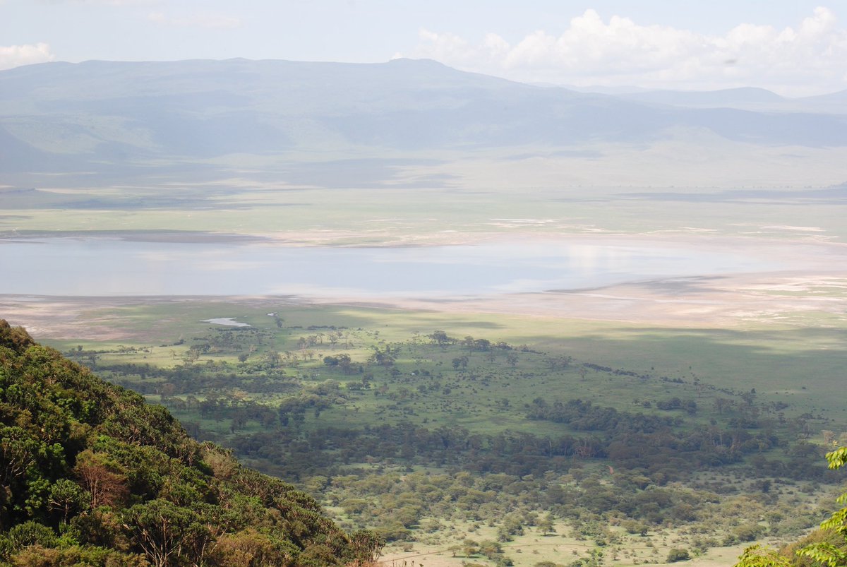 HelloTanzania_'s tweet photo. #safari #hellotanzania #safaritrip #safaritour #safariholidays #tanzania #tanzaniasafari #afryka #africa #wycieczka #wakacjenasafari #wildlifesafari https://t.co/yM3uhTaHdi