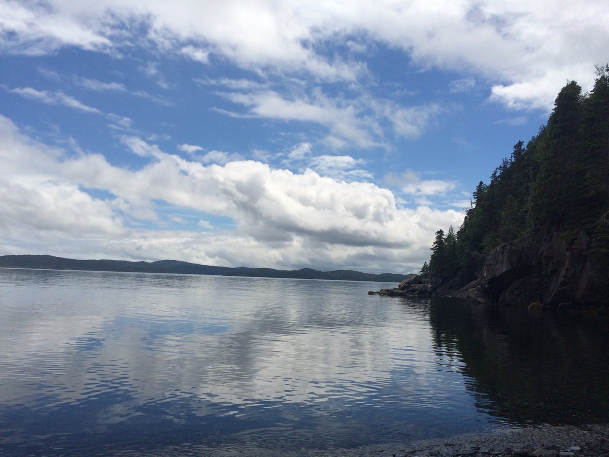 jenvsull's tweet photo. Perfect spot for a late lunch after we finished Leah’s last site! #NorthernEDGELab #teamnl  @_coastalwalker @MUNGeog https://t.co/90M7HrDvt3