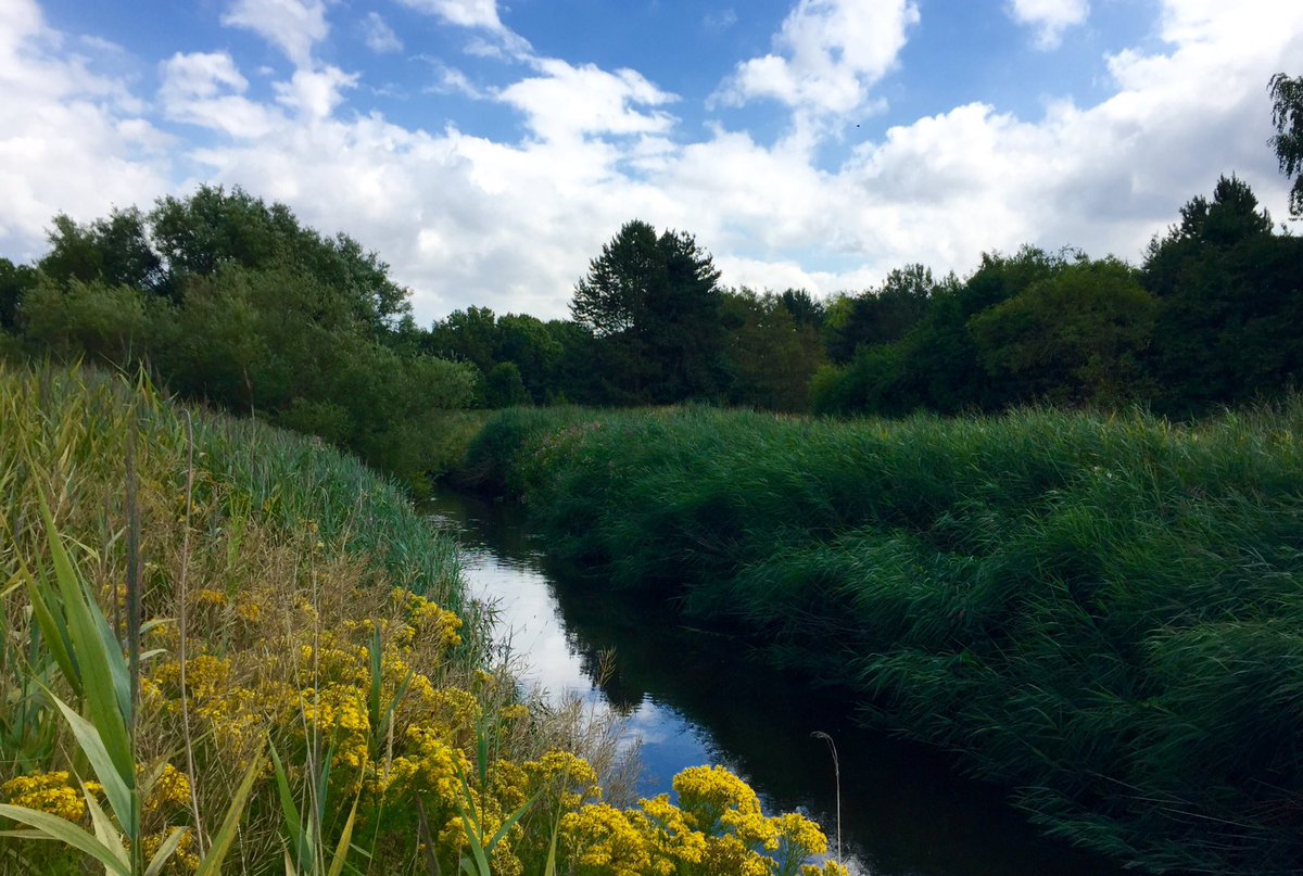 #CanalWalks #SankeyValleyTrail