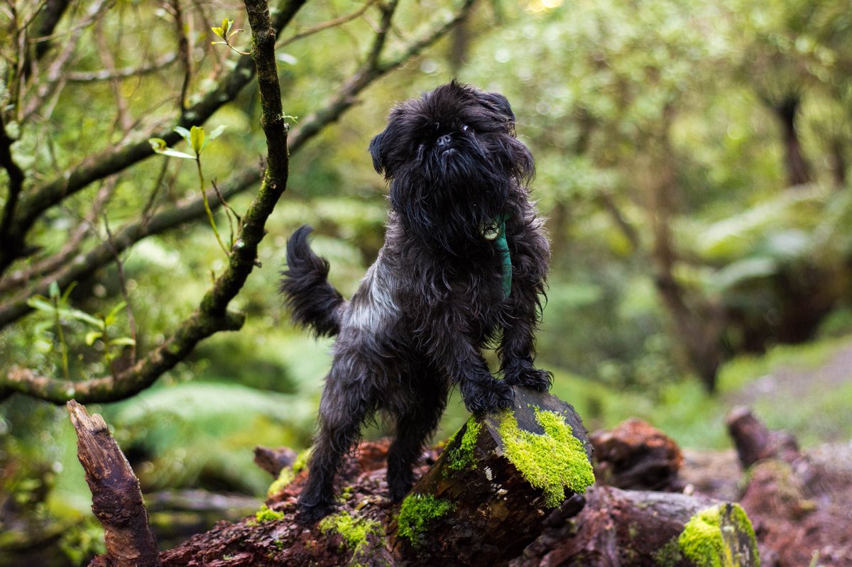 Before and after meeting the <a href="/QueerEye/">Queer Eye</a> fab 5