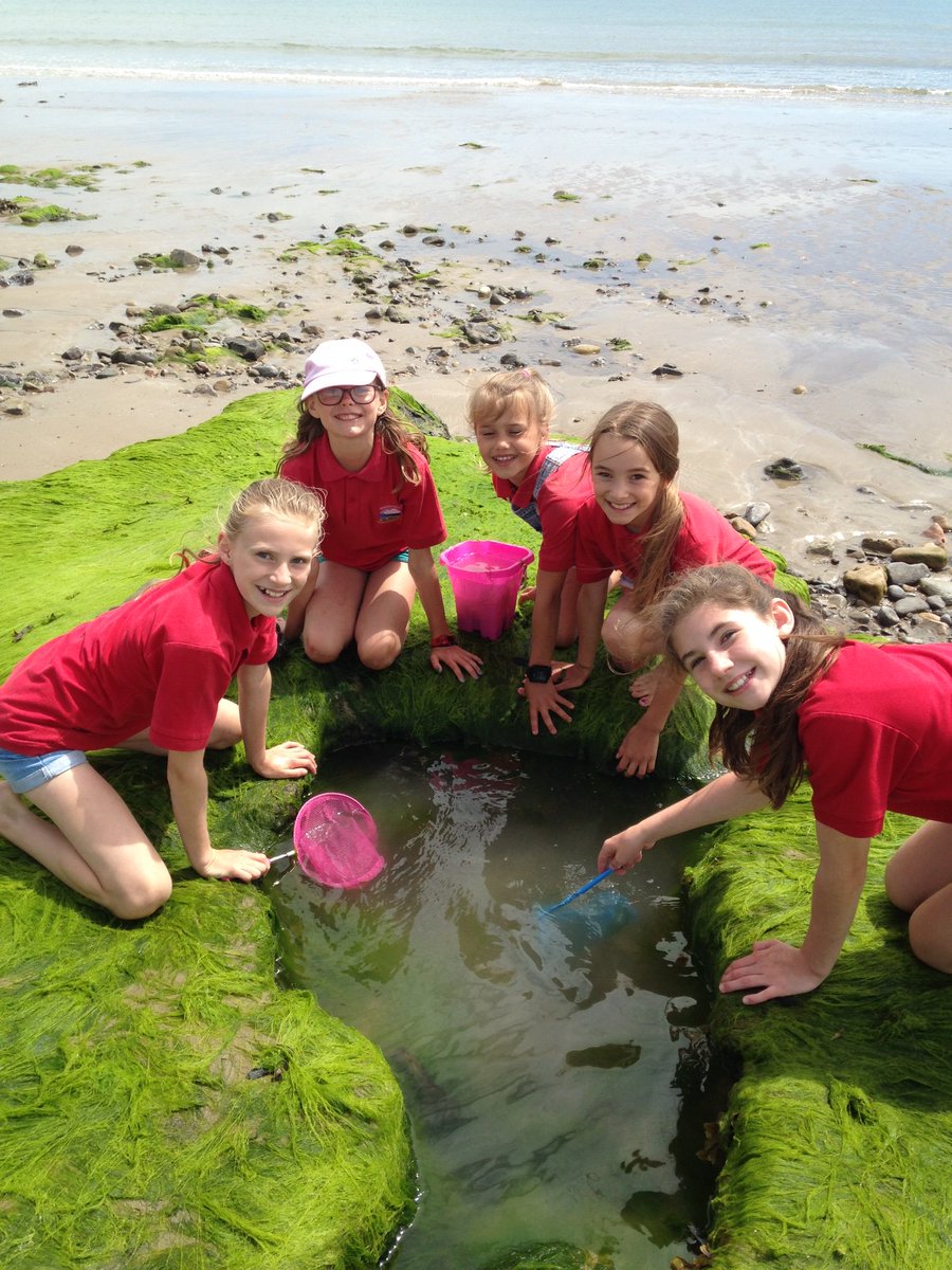 Hendrefoilan's tweet photo. We love ❤️ Port Eynon beach! #hdfpwholeschoolteam #hdfpfun https://t.co/dxjD67L3iZ
