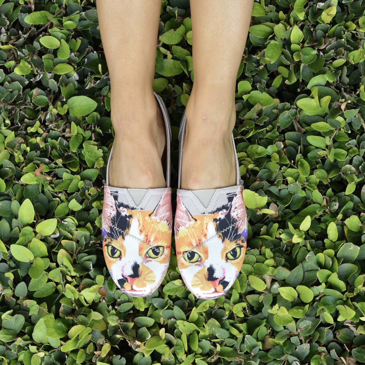 bobs best friends shoes