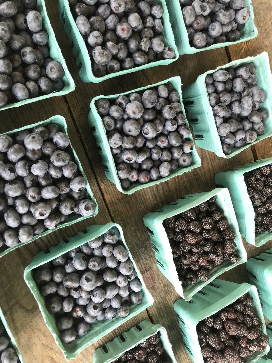 Hello Twitter world! We are a farm in #KennedyNY #Chautauqua County #WNY &amp; value feeding our customers organically grown fruits &amp; veggies. Visit the farm, spread the world, &amp; follow us here &amp; on facebook! #FarmtoTable #Farming #Food #Blueberries #NY #TasteNY