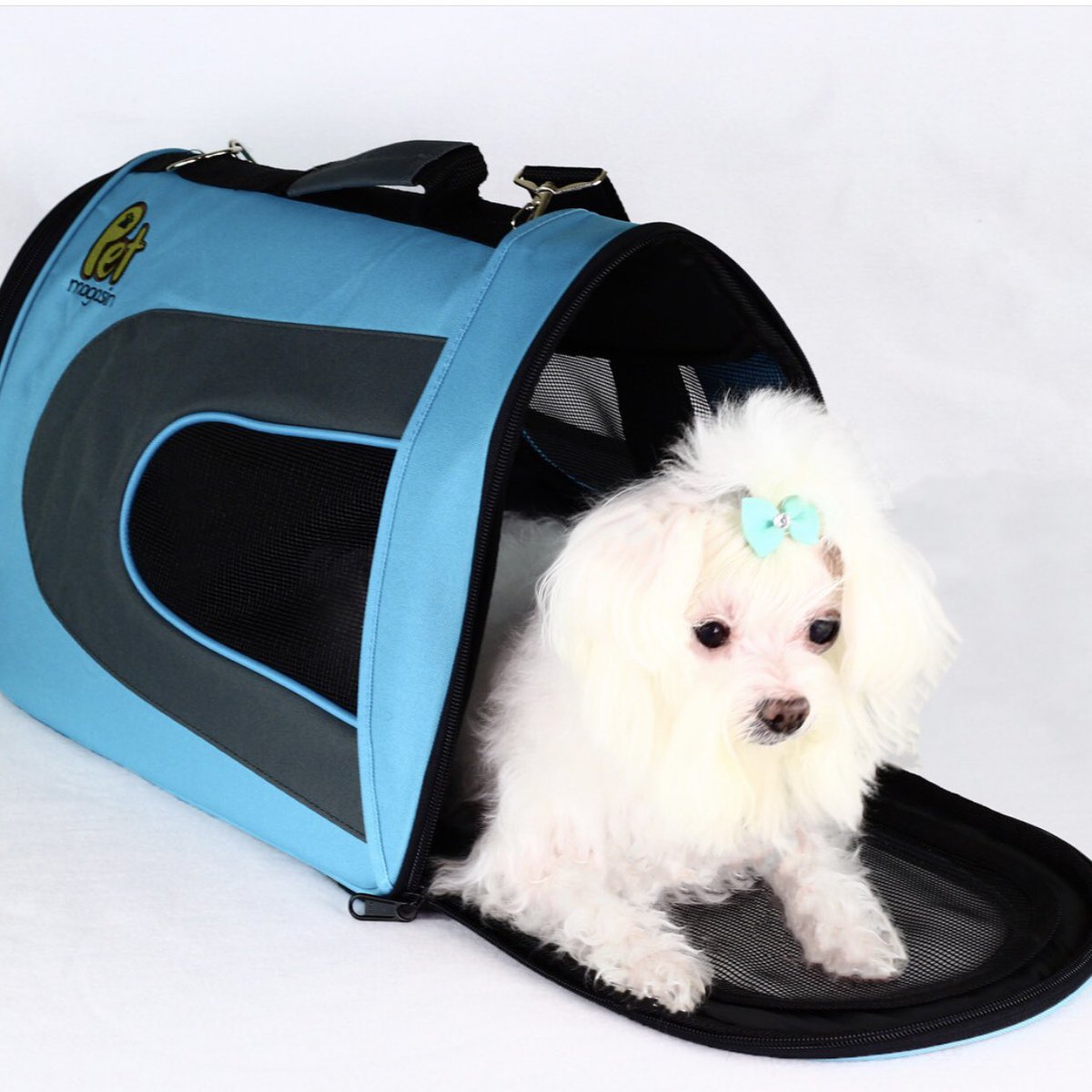 PetMagasin's tweet photo. Prime Day Deal https://t.co/Ev4nU8is9I