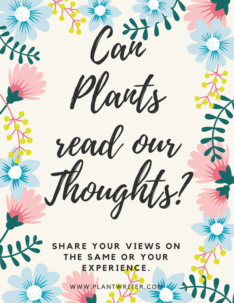 _plantwriter's tweet photo. Can Plants Read Our Thoughts?
Let us know your views on the same or your experience. 
We would love to know your story / views from you.
Stay Tuned!
https://t.co/TwurqkCcFd
#thoughtoftheday #questiontime #experience #fun #share #Views https://t.co/LSnI1wdXIn