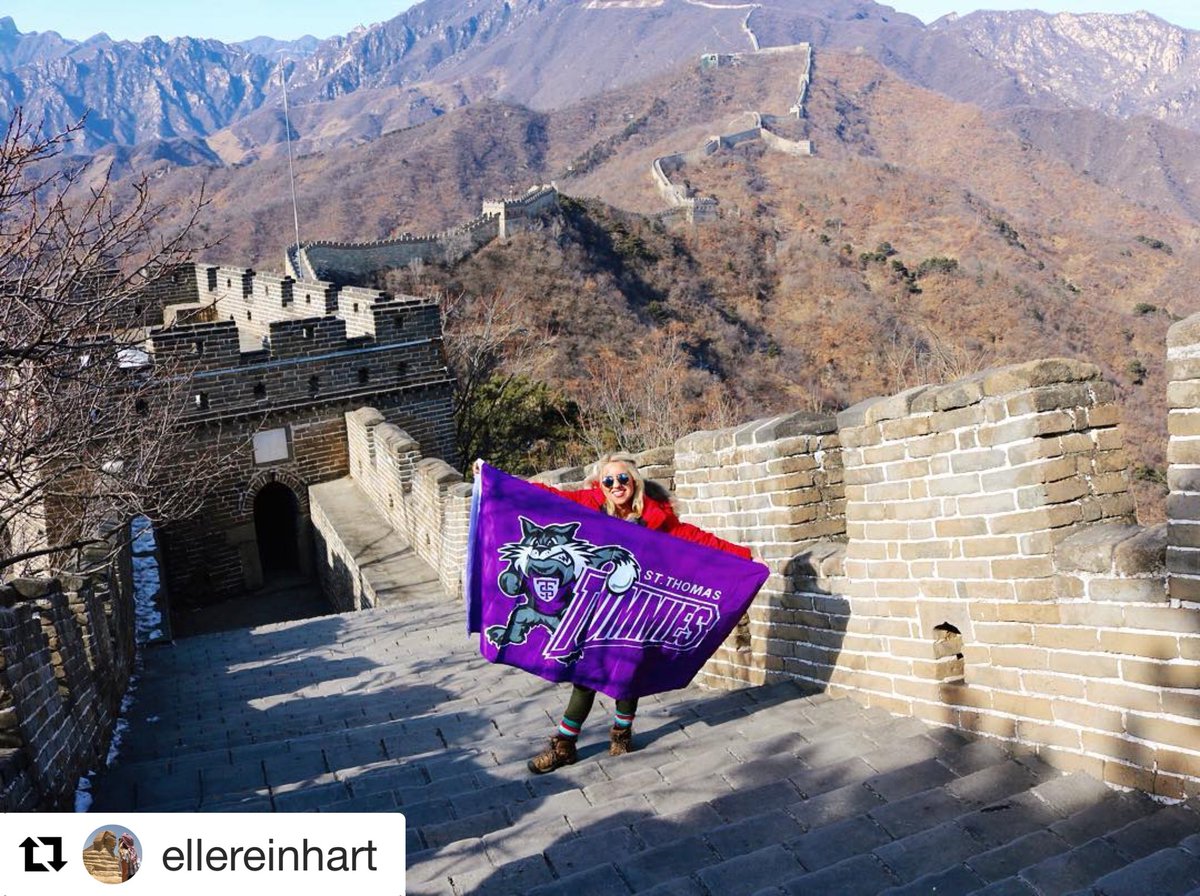 UST Study Abroad tweet media