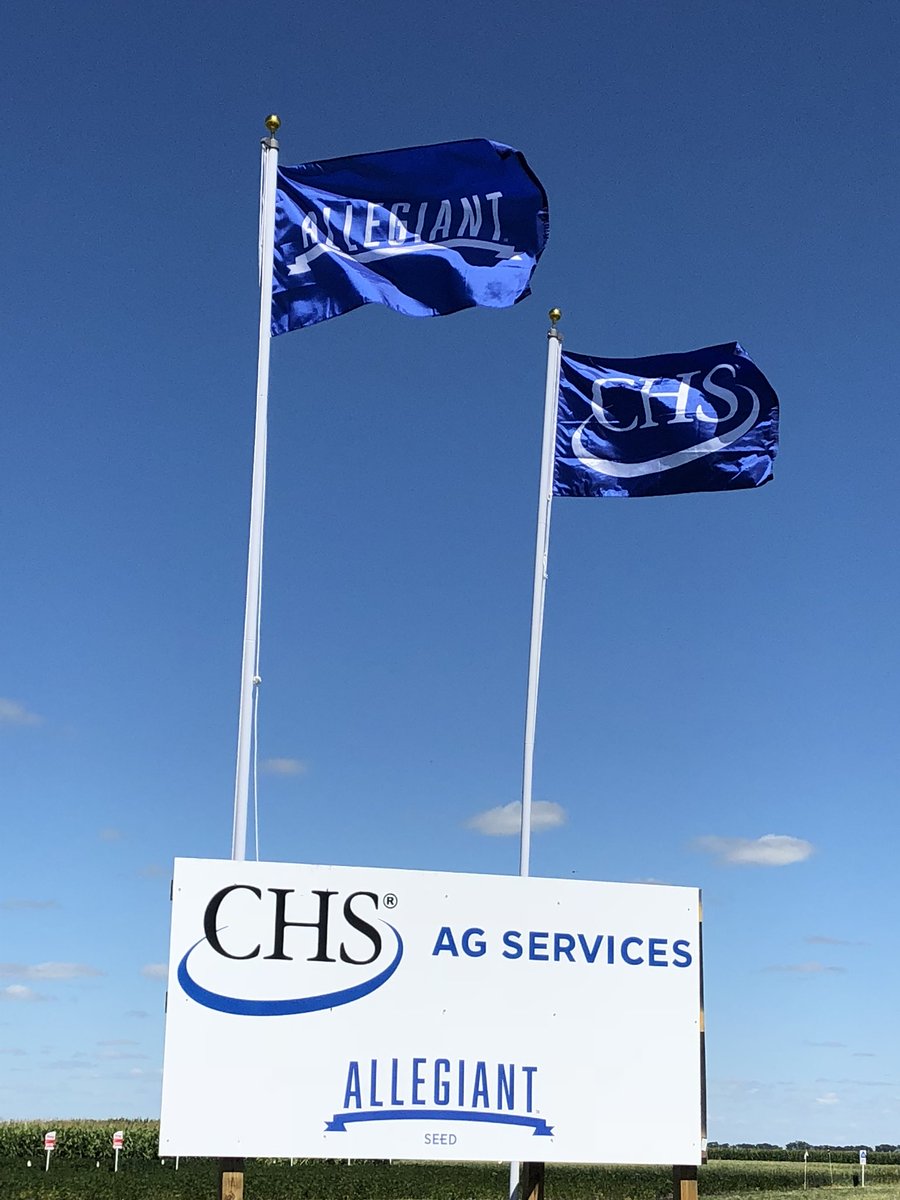 Angie Pulkrabek-Moen tweet media