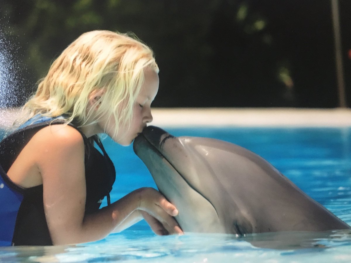 Knut Storberget tweet media