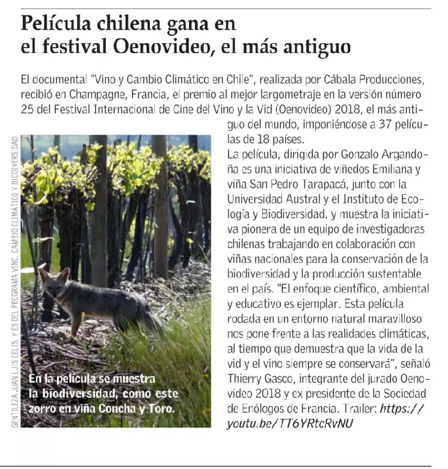 VCCBChile's tweet photo. Salimos en Revista del Campo 🍇🌱🐦 #ElMercurio #Oenovideo #Chile #Francia #Premio #Biodiversidad #MedioAmbiente #Conservación #Vino #Wine #Nature #Film #Película #Award Lee la noticia completa 👉https://t.co/1D6jbAWSkP ✌️🎬🍷 https://t.co/ROhWAd0gST
