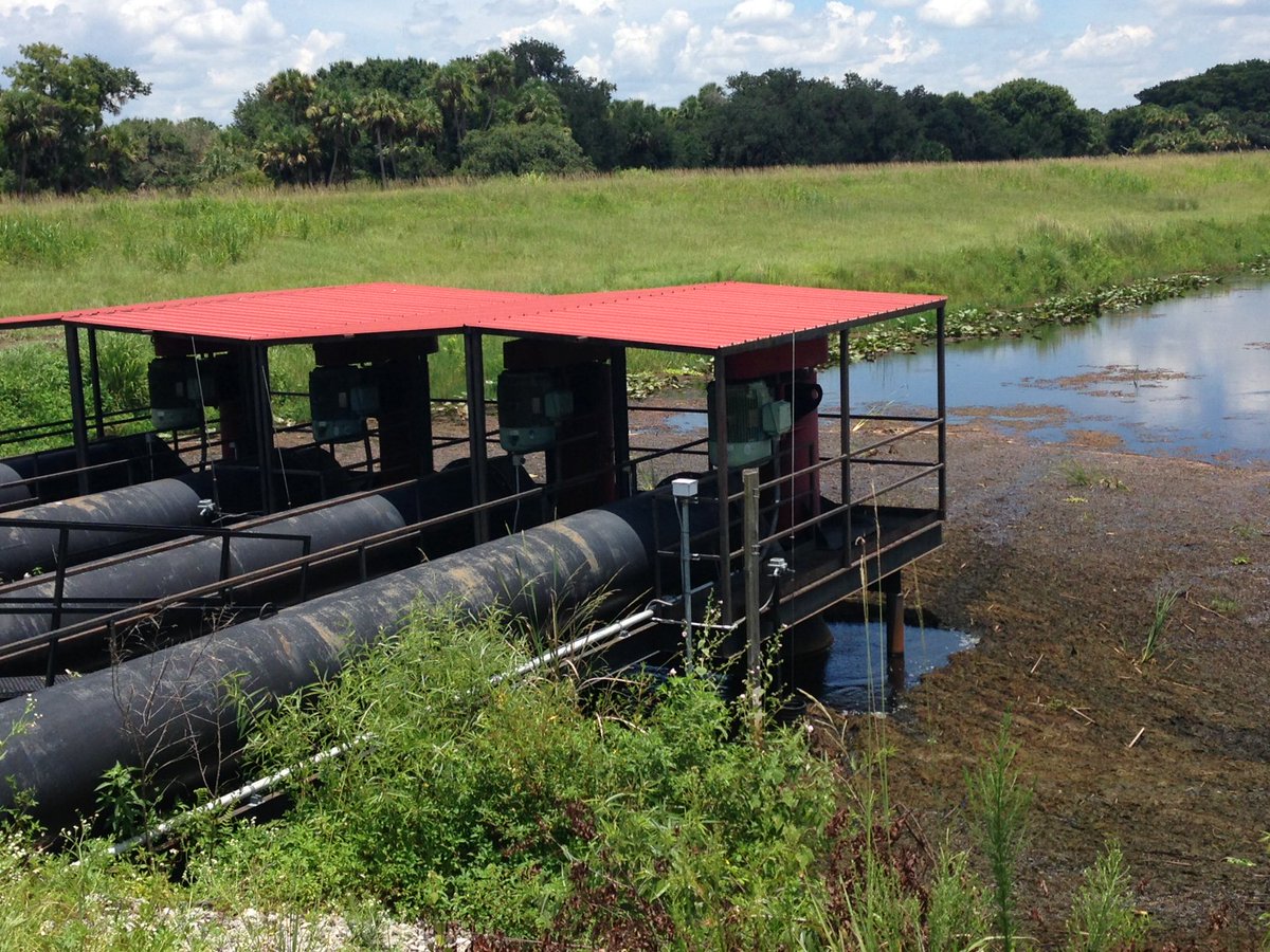 SFWMD's tweet image. These serene wetland scenes actually show the Nicodemus Slough water storage area. This project is a cooperative agreement with a private landowner to store excess water from Lake Okeechobee and help reduce the need for releases to the Caloosahatchee and St. Lucie estuaries.