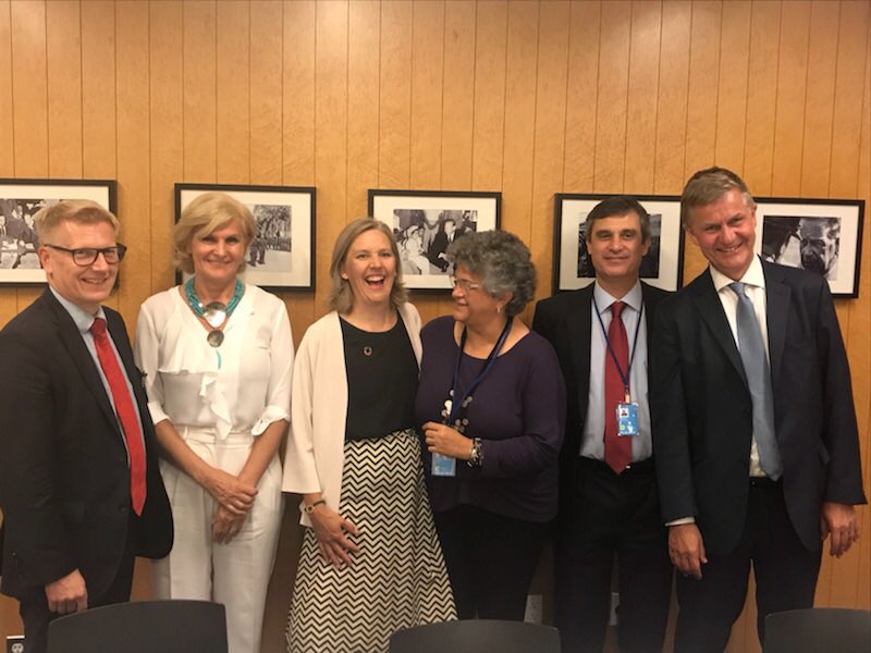 Swedish minister of Environment <a href="/karolinaskog/">Karolina Skog</a> hosted the launching event for the newly established High Ambition Alliance on Chemicals and Waste #HLPF2018 #SweHLPF #SDG12