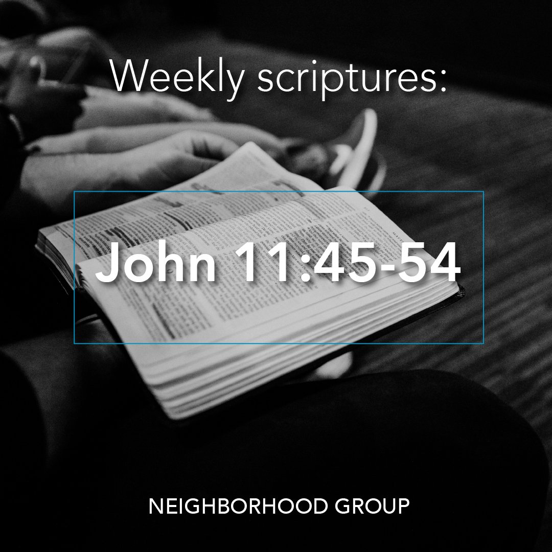 Refuge LA tweet media