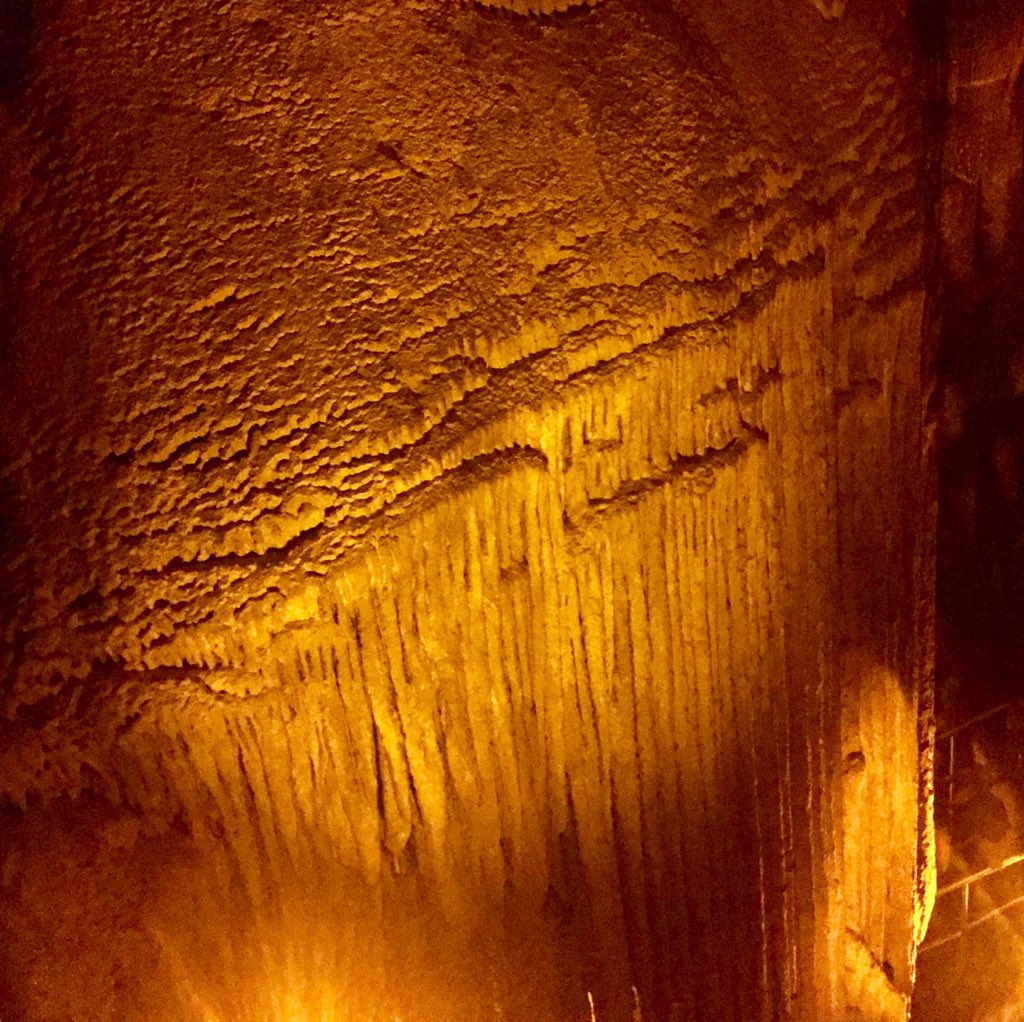 SmolaChem's tweet photo. So awesome. Got to experience a new world w/my family, 250' down: Mammoth Cave National Park. Domes &amp; dripstones of CaCO₃. S/O to our amazing ranger who made jokes abt drinking H₂CO₃(aq) + sugars + caffeine giving you cave-ities 😆@MammothCaveNP #frozenNiagara #MammothCave https://t.co/fFNMQh8Mqv